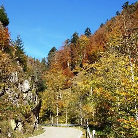 Haus Bock Apartment *