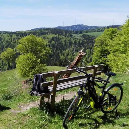 Apartment Haus Bock Todtmoos