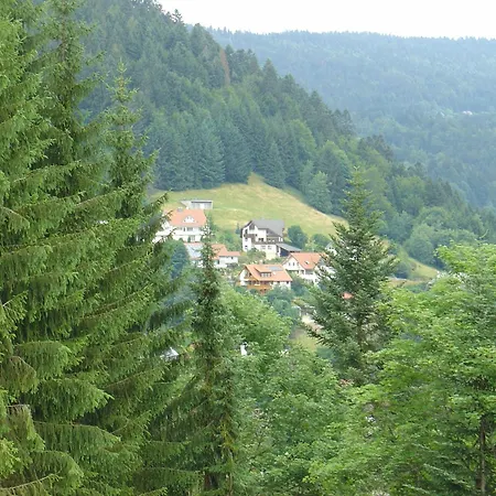 Apartment Haus Bock Todtmoos