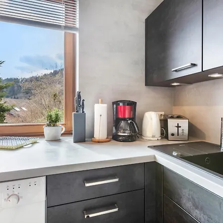 Haus Bock Apartmán Todtmoos