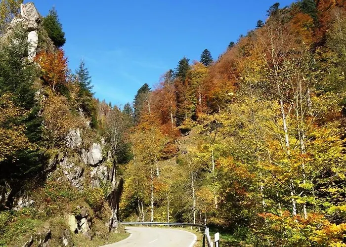 Haus Bock Apartment *