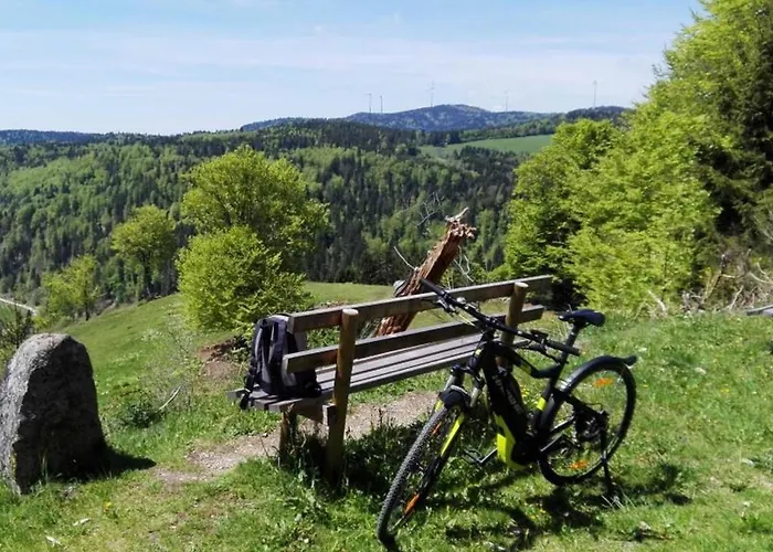 Apartment Haus Bock Todtmoos