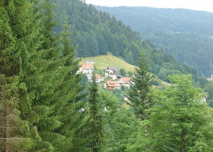 Apartment Haus Bock Todtmoos